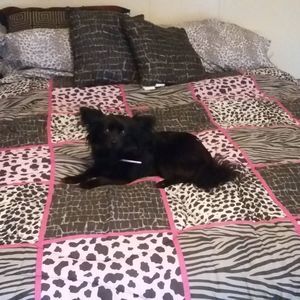 Meet your Posher, Pam